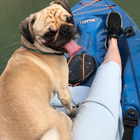 Meet your Posher, Selah - Picture 12 of 12